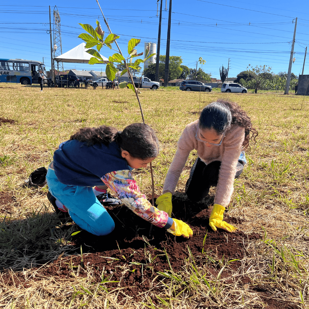 Bosque de ipês é criado em Sarandi por meio de parceria entre iniciativa privada e prefeitura